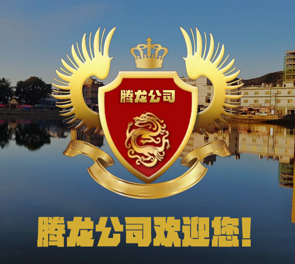 腾龙游戏研发中心